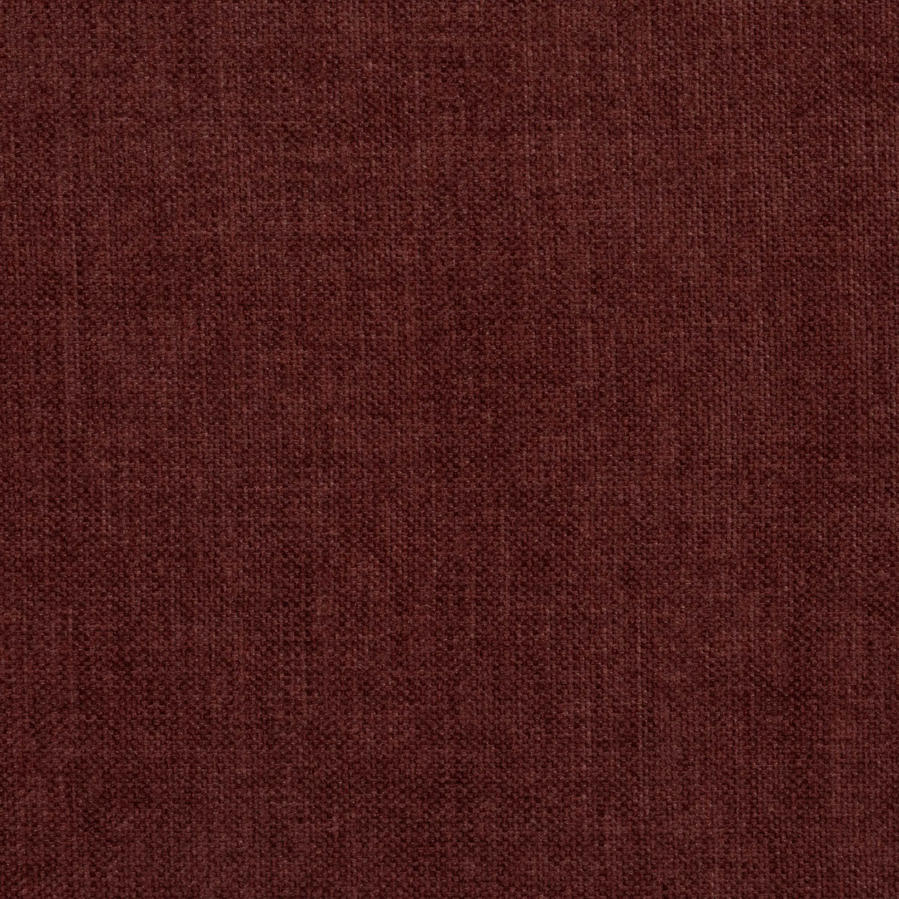 Cordovan 21