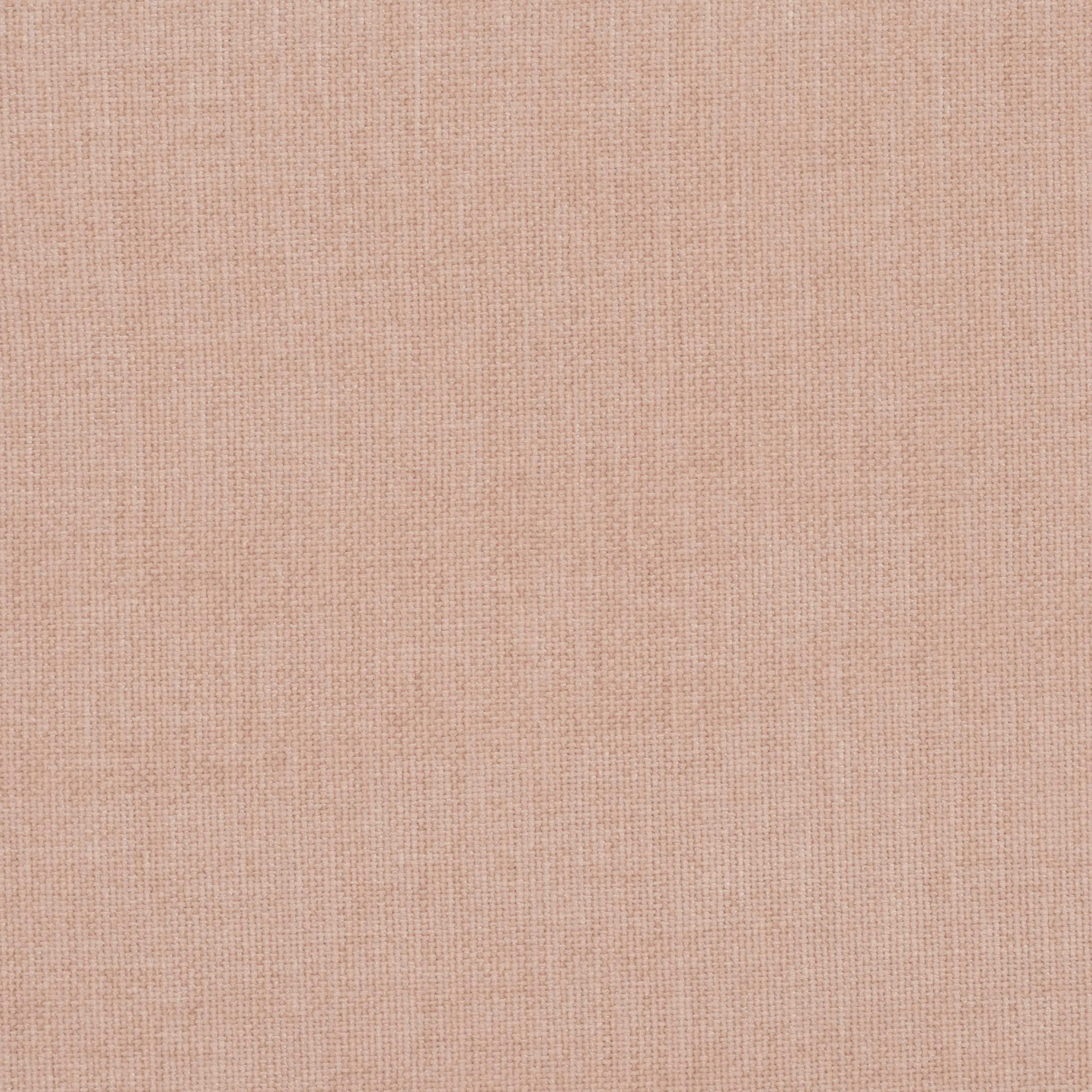 Sepia Rose 19