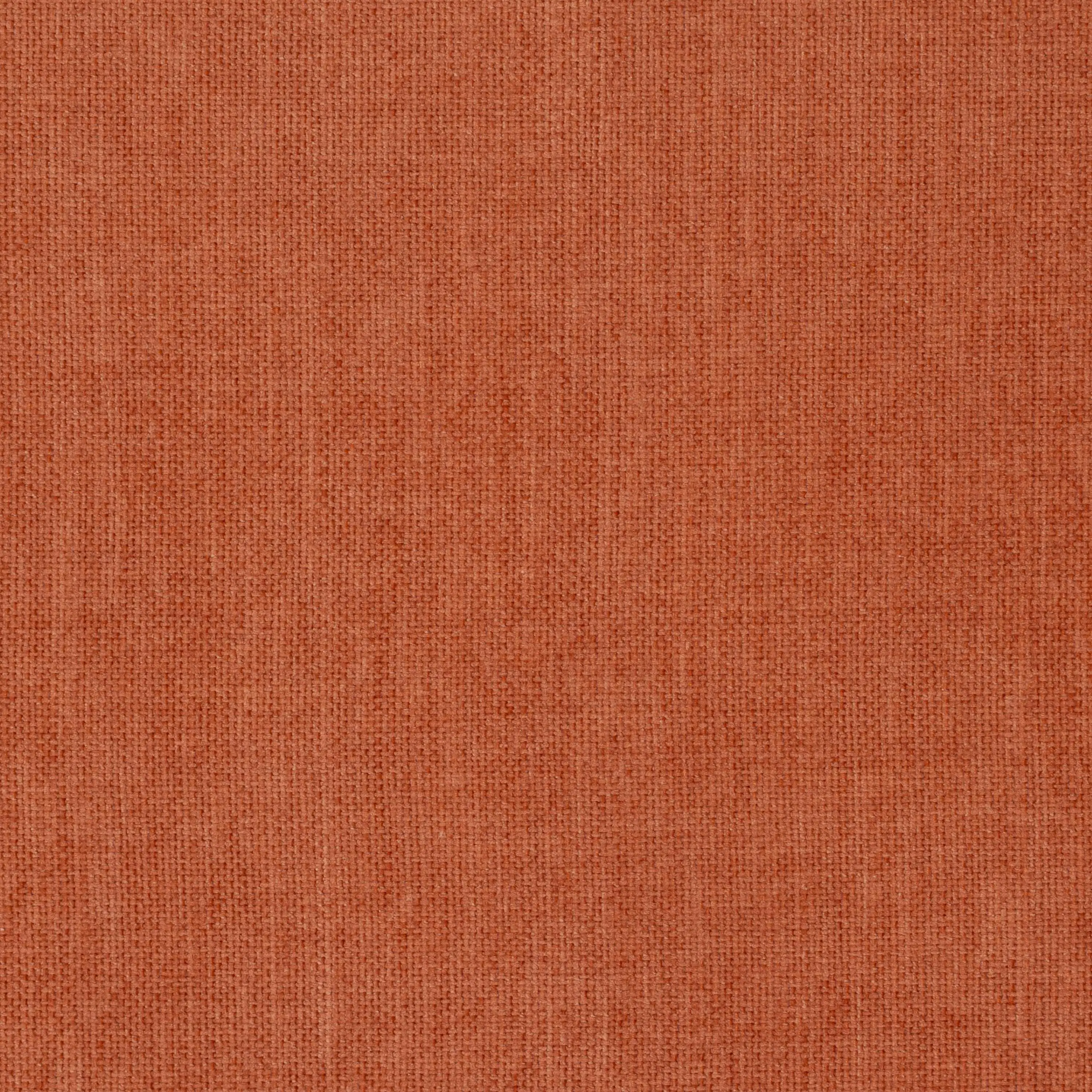 Apricot Brandy 18