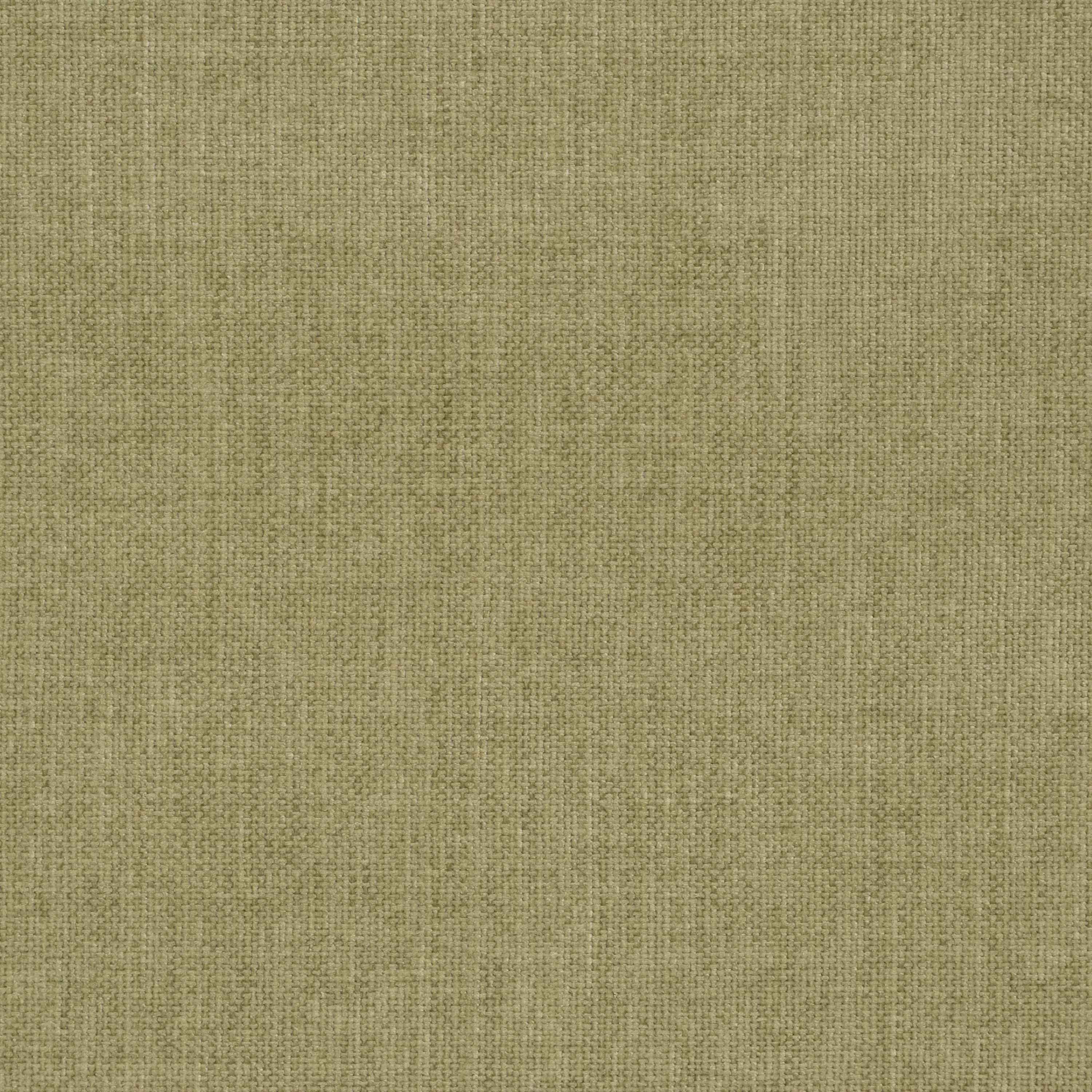 Sage 25