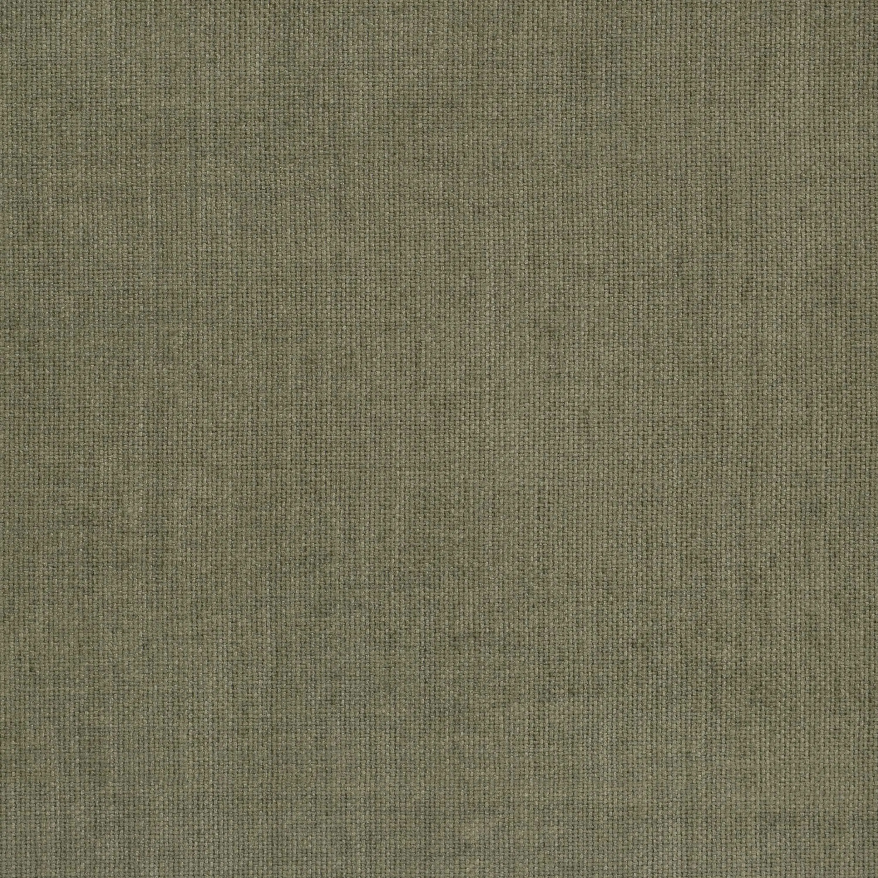 Oil Green 26