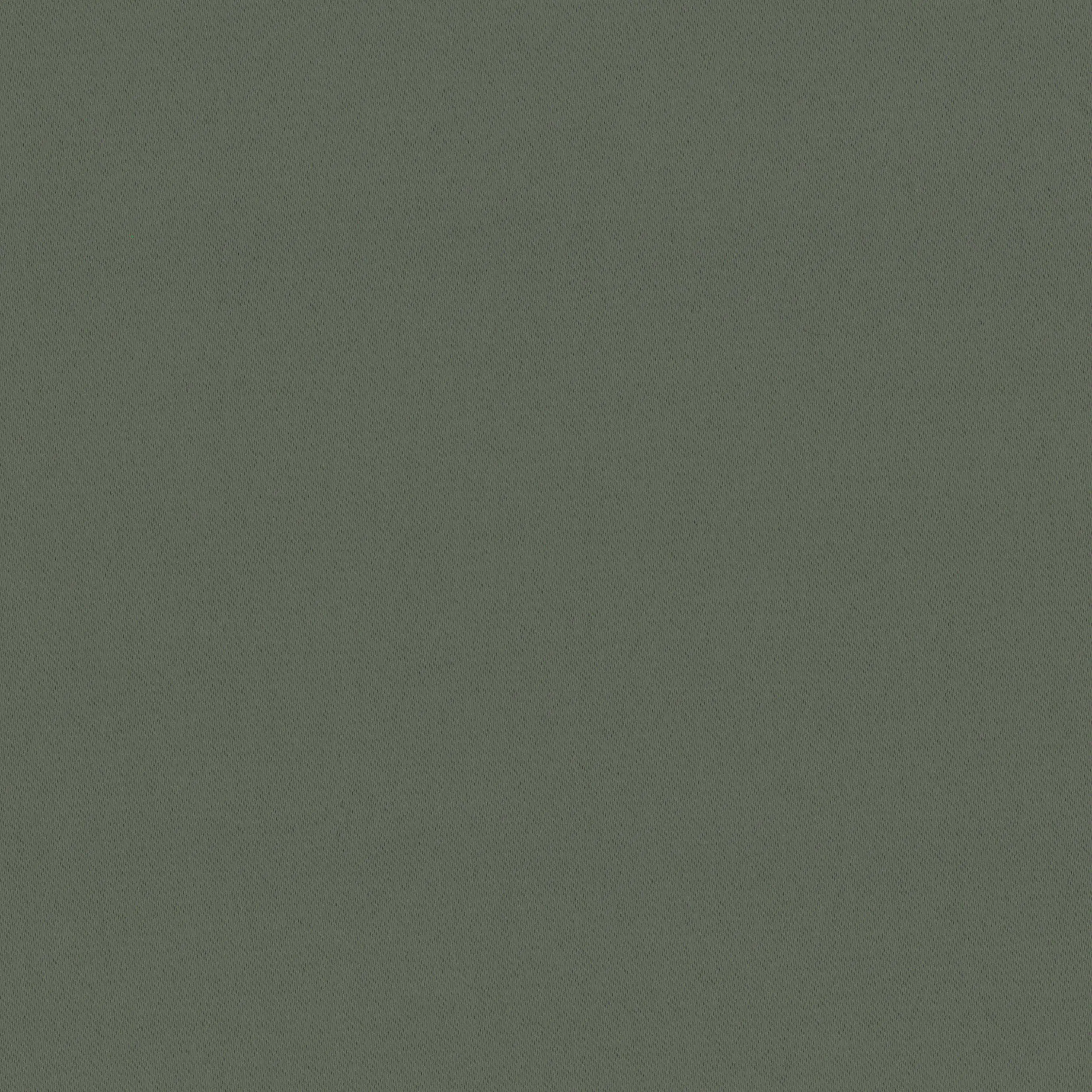 Dusty Olive 04