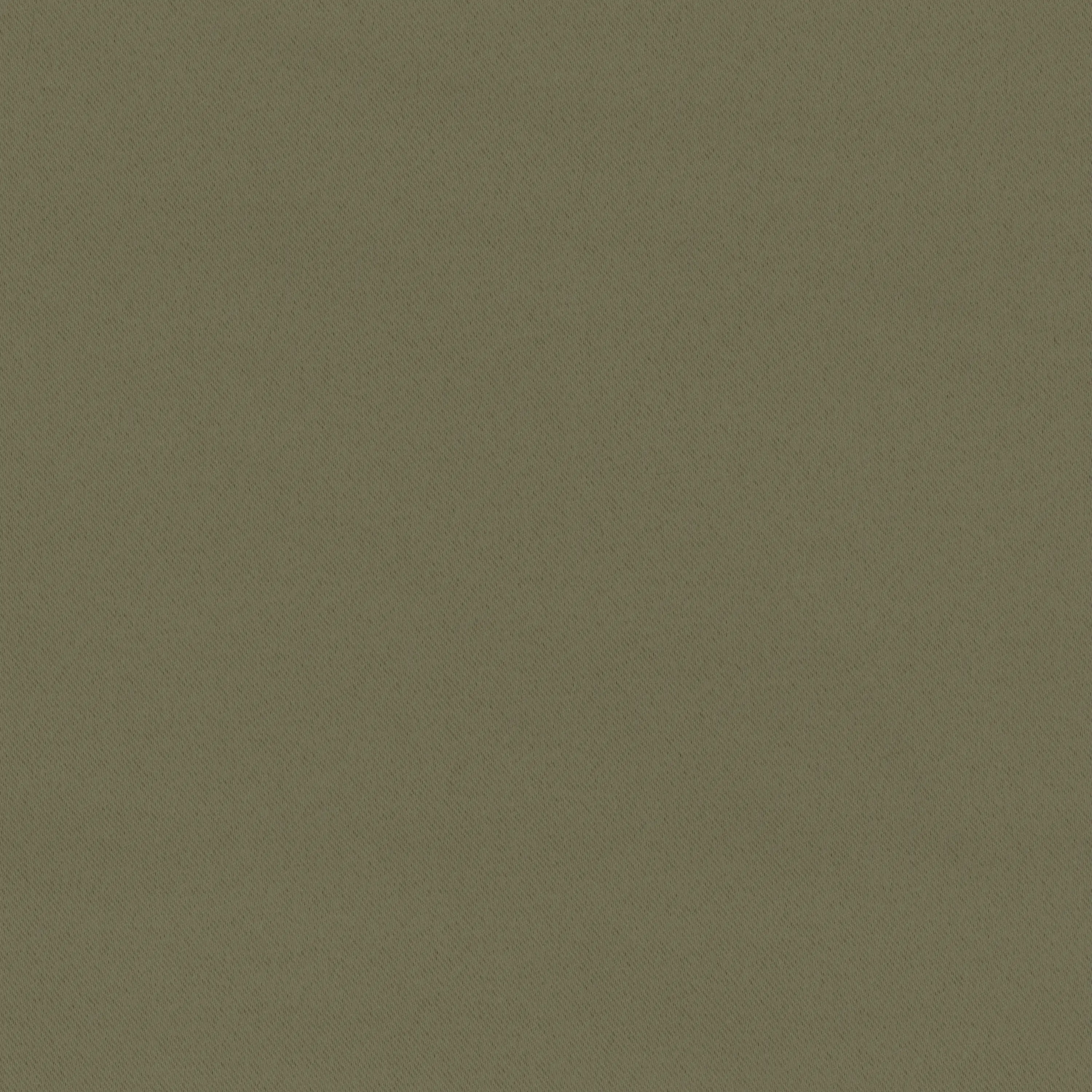 Walnut 11