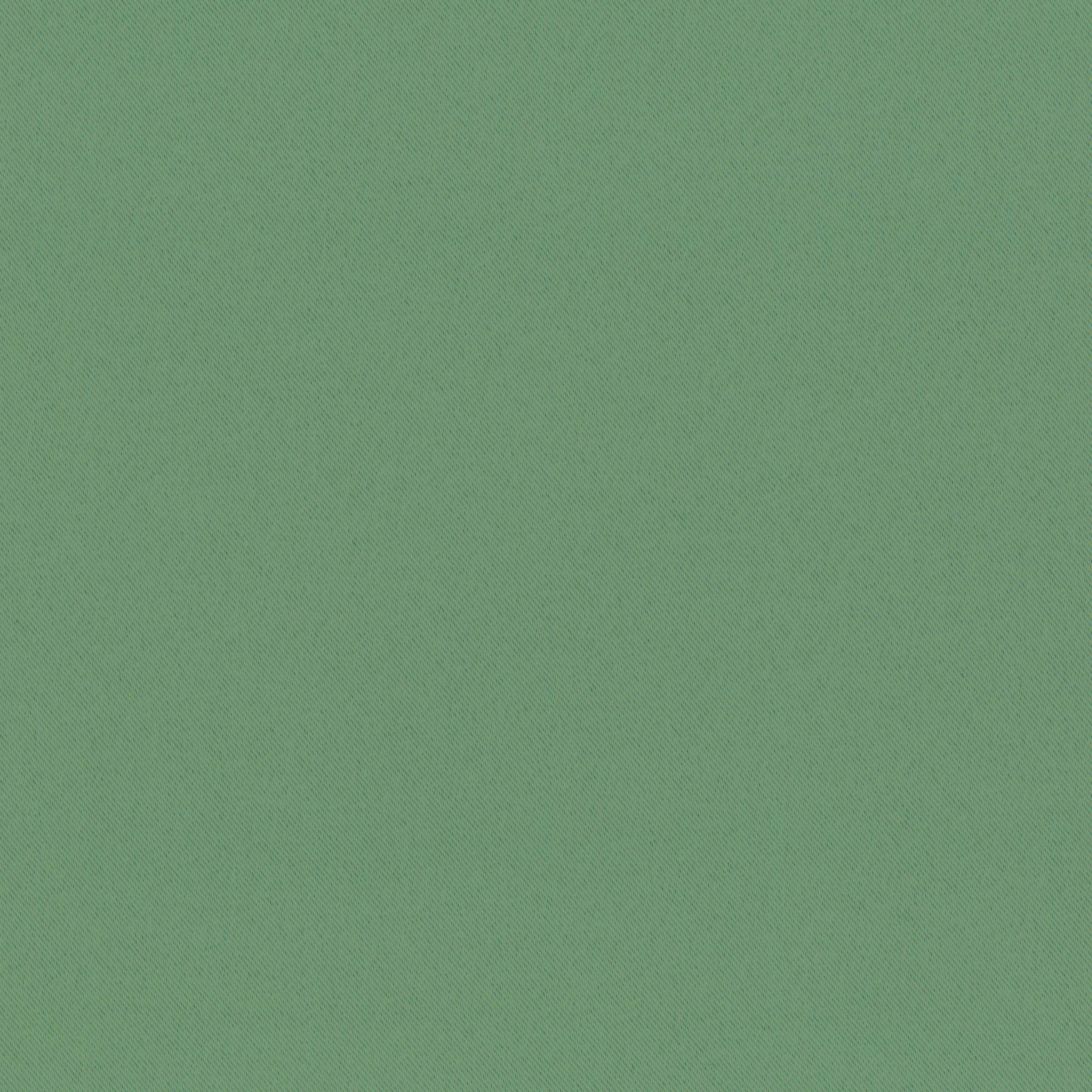 Hedge Green 41