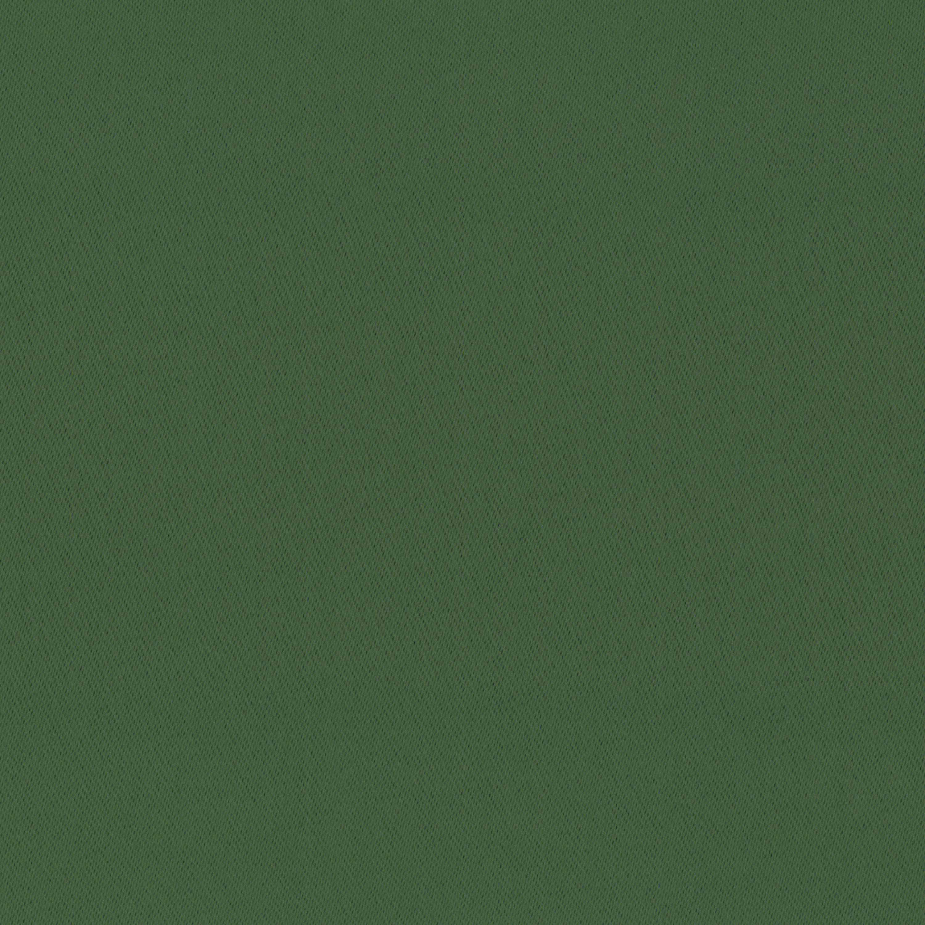 Douglas Fir 42