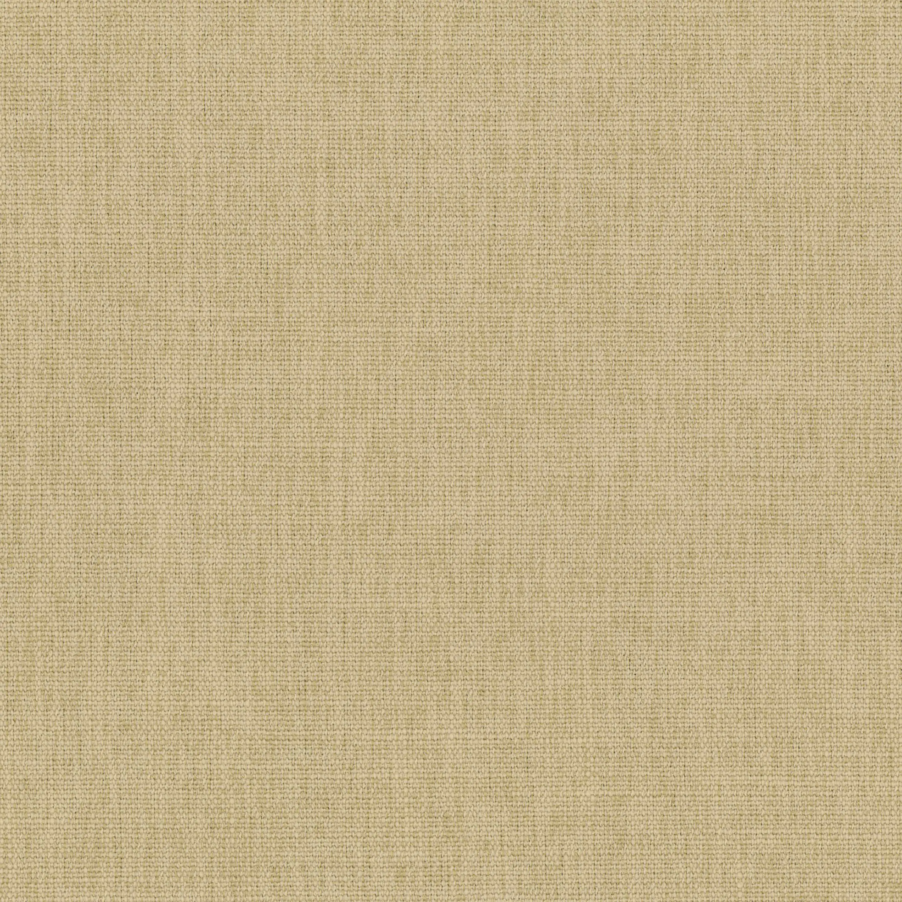 White Pepper 09
