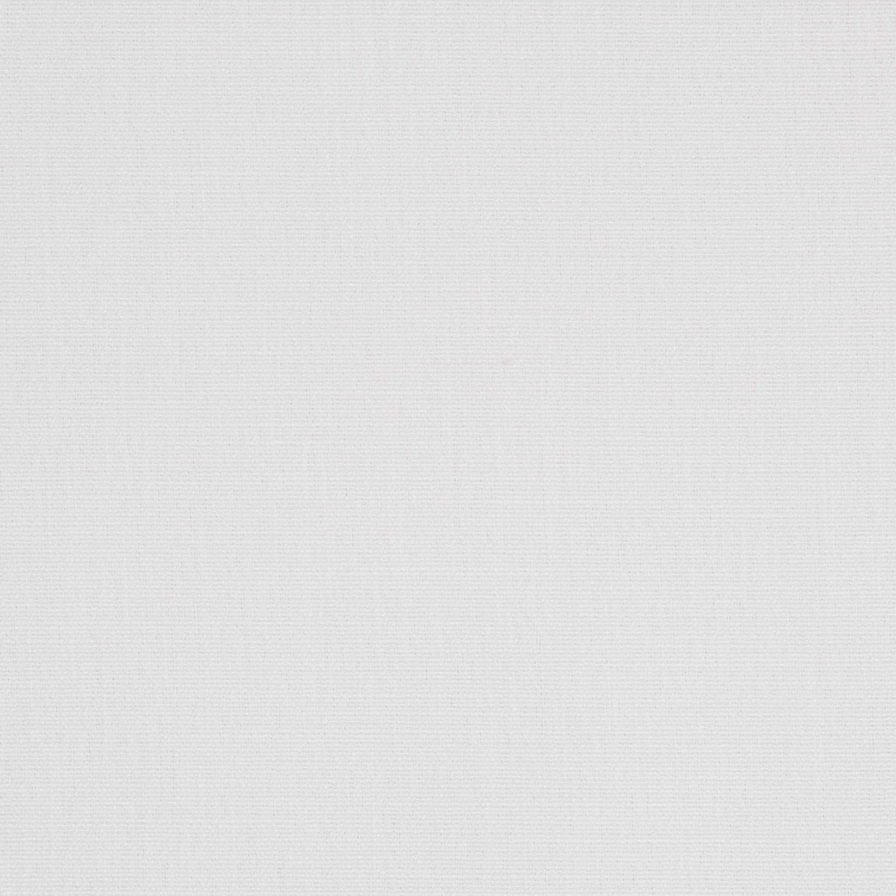 White 17