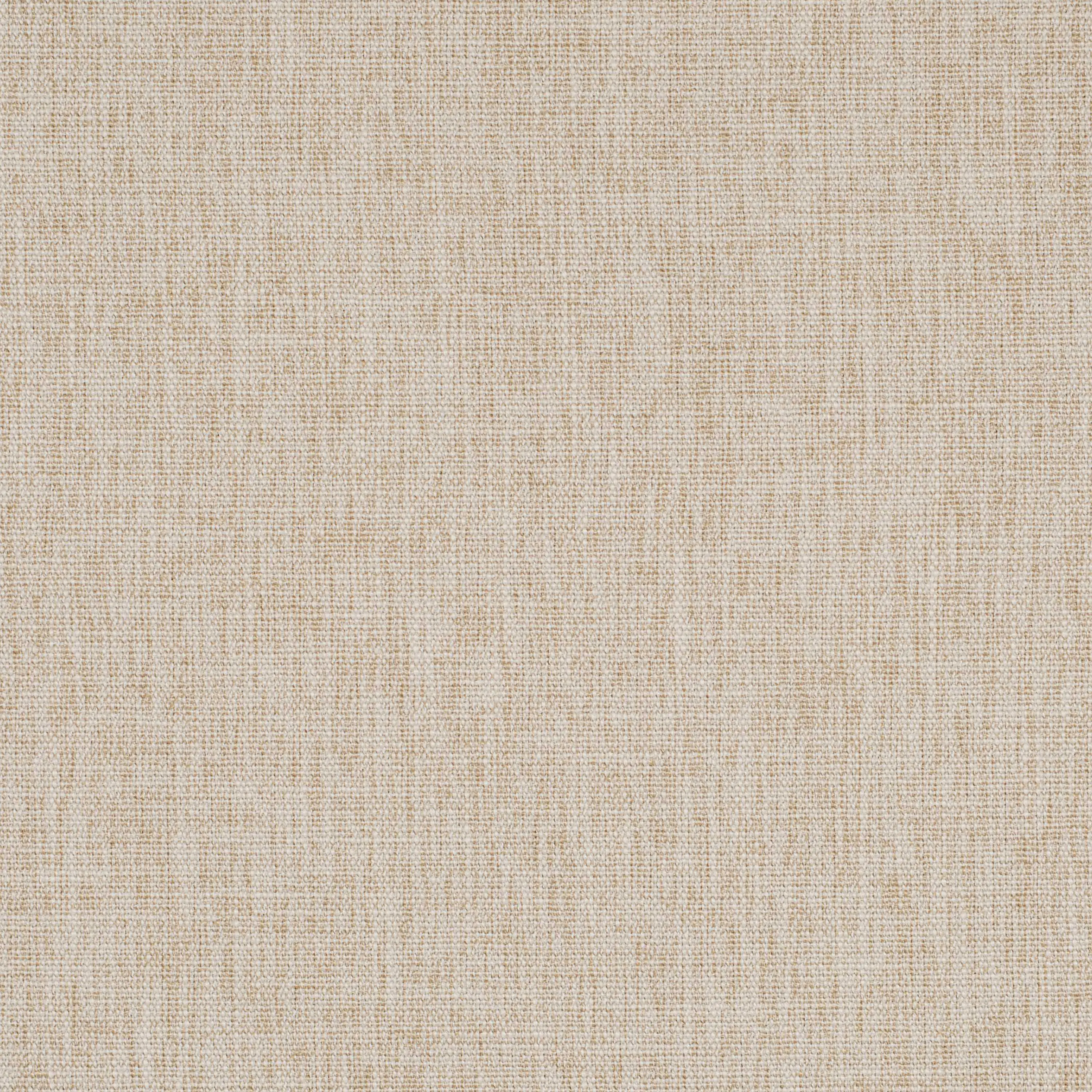 Almond Milk 20