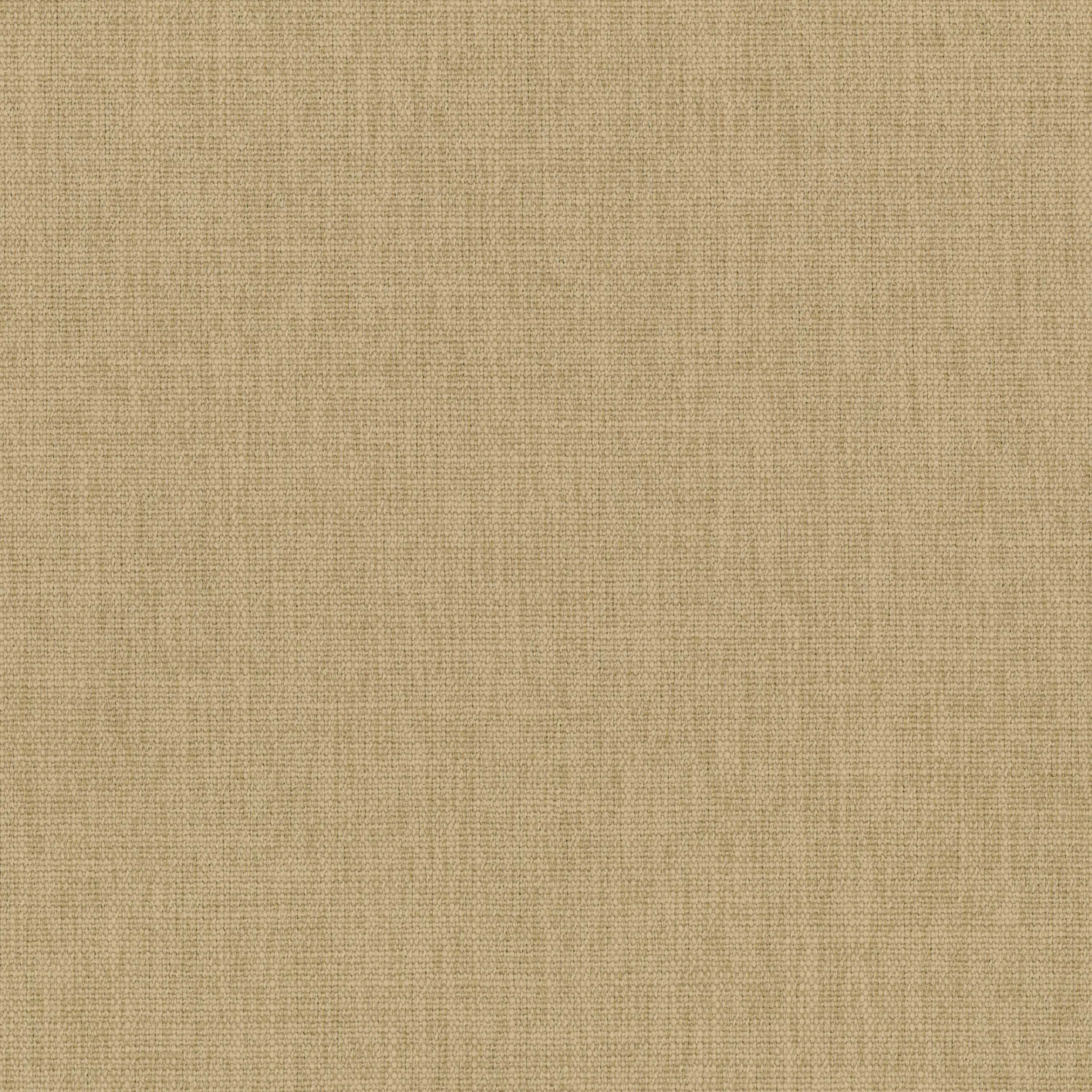 Safari 21