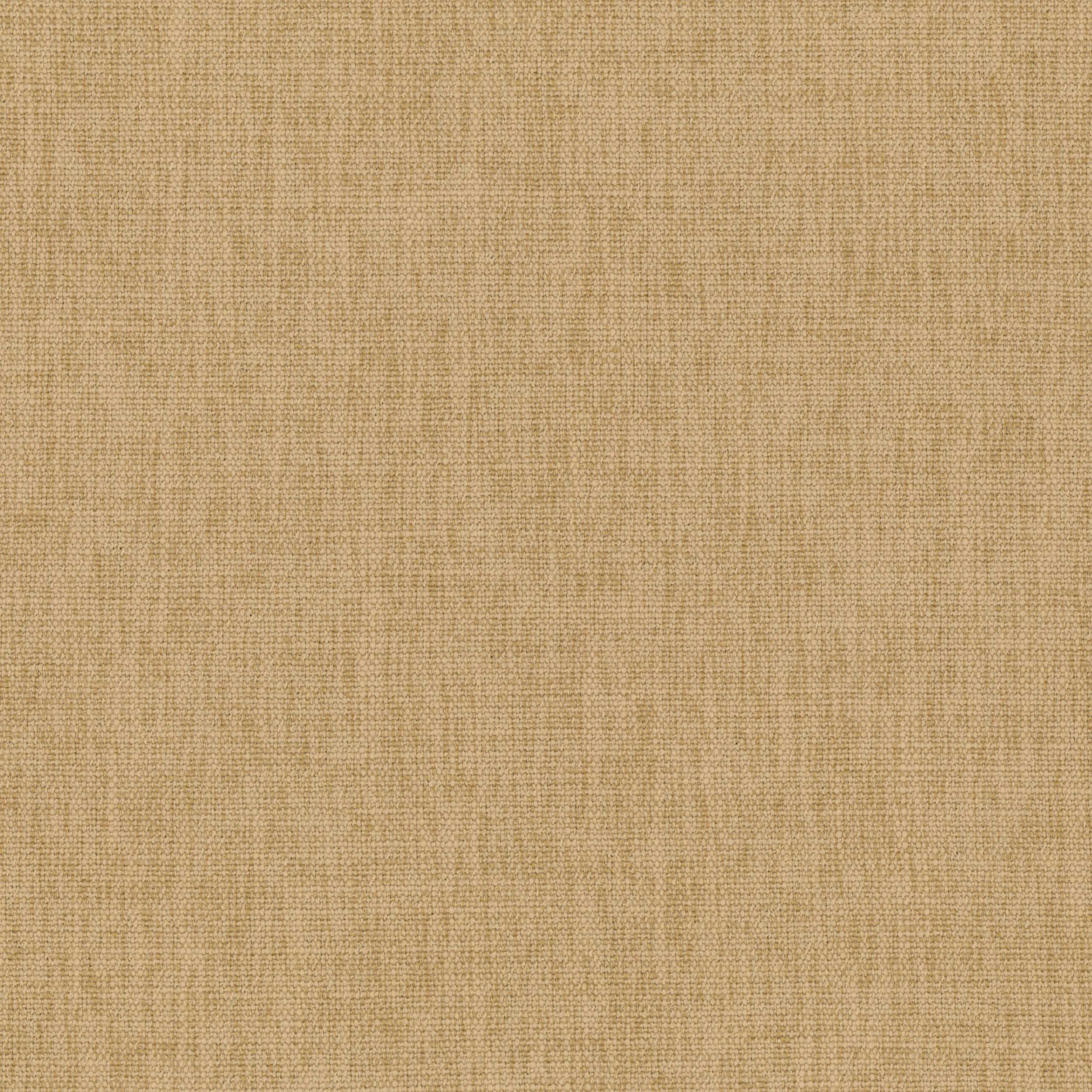 Warm Sand 22