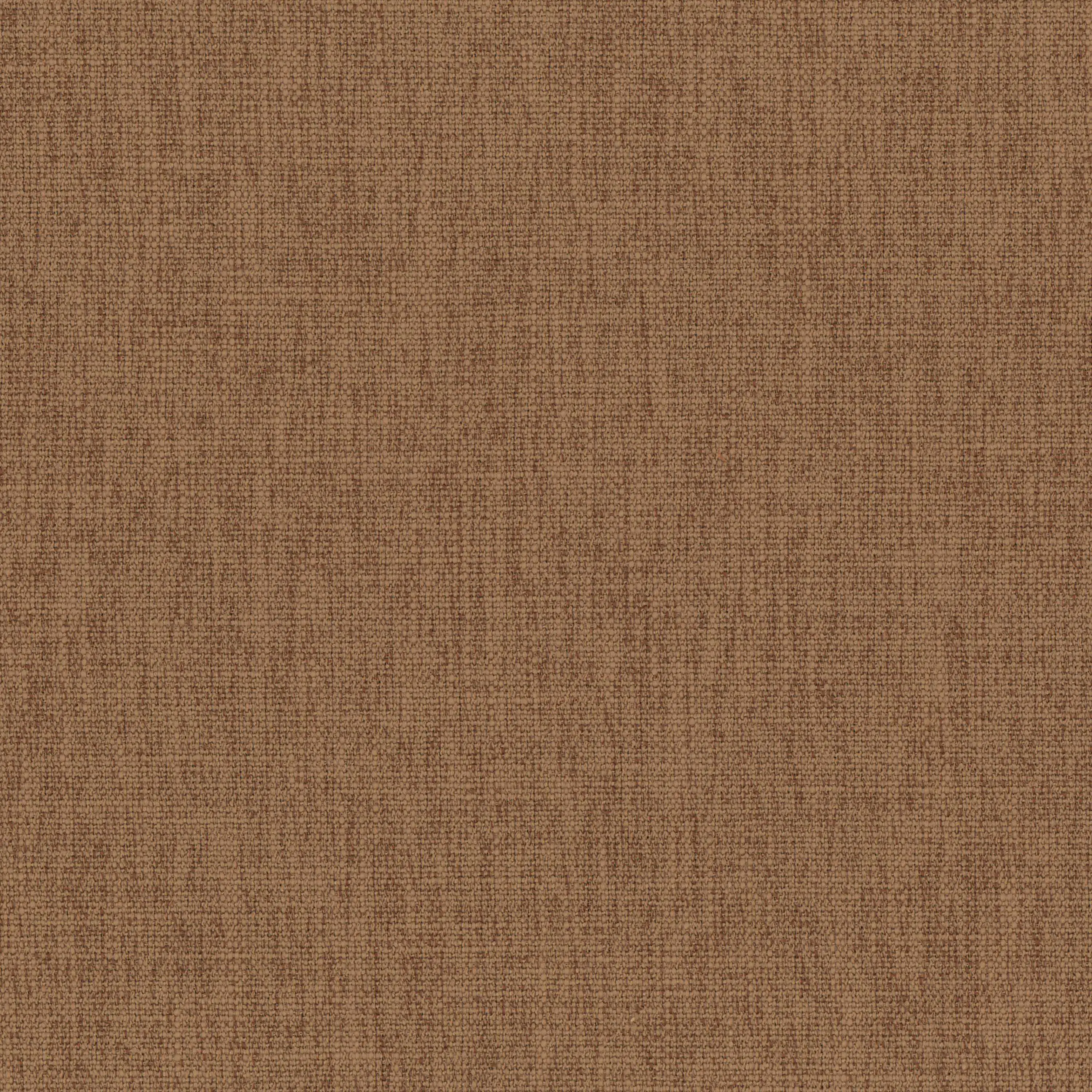 Beaver Fur 26