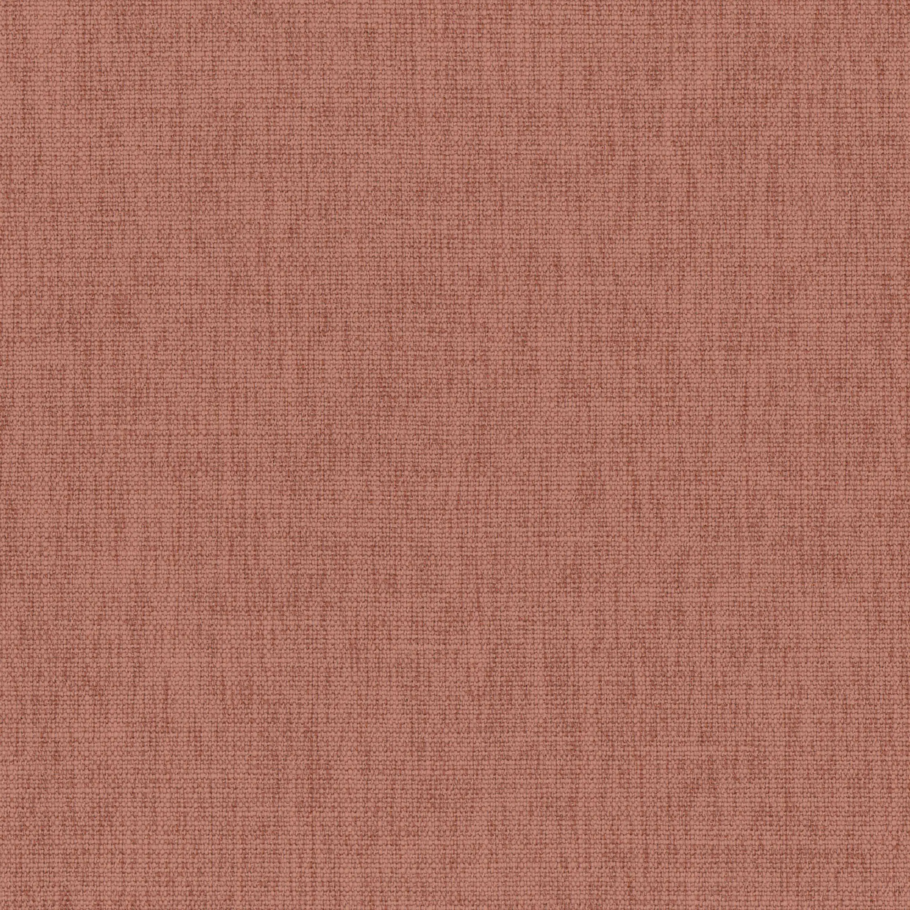 Cedar Wood 29