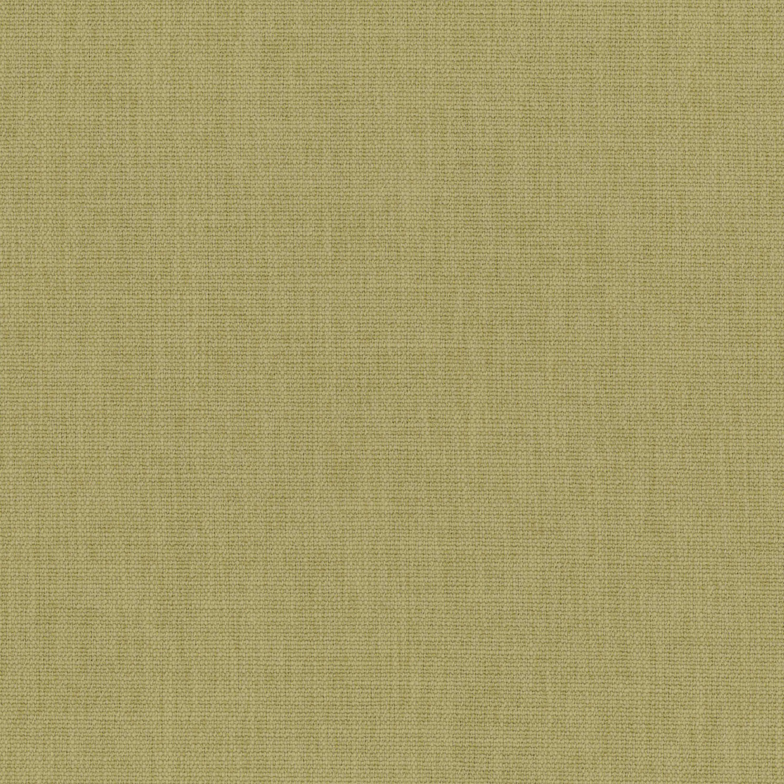 Gray Green 40