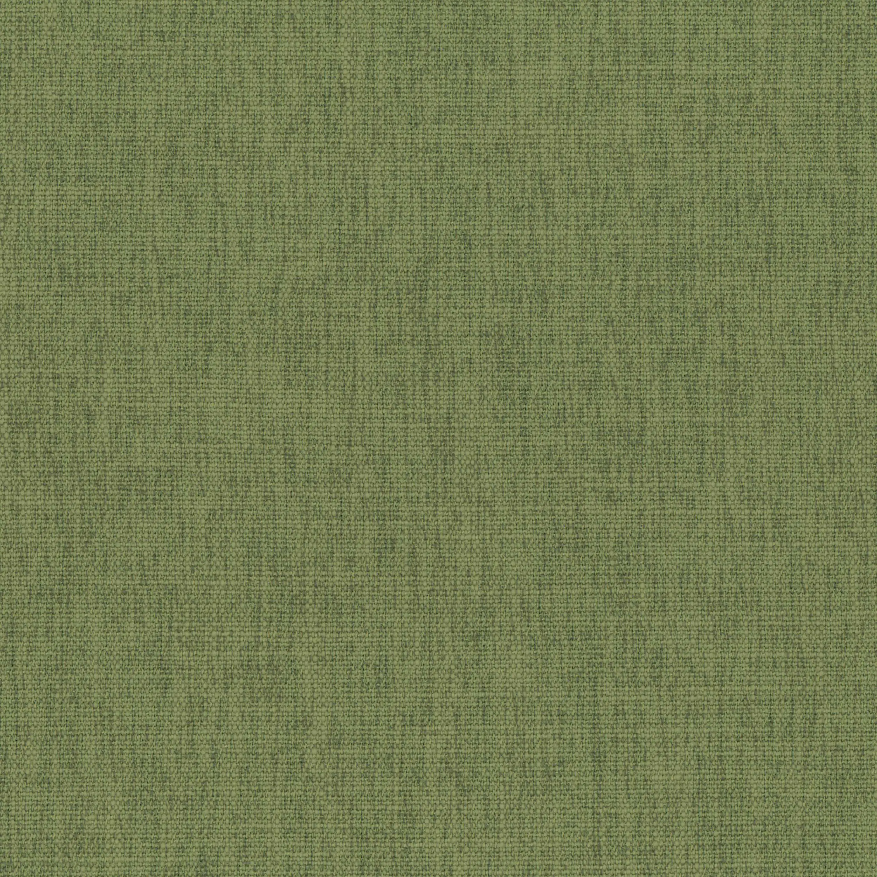 Oil Green 42