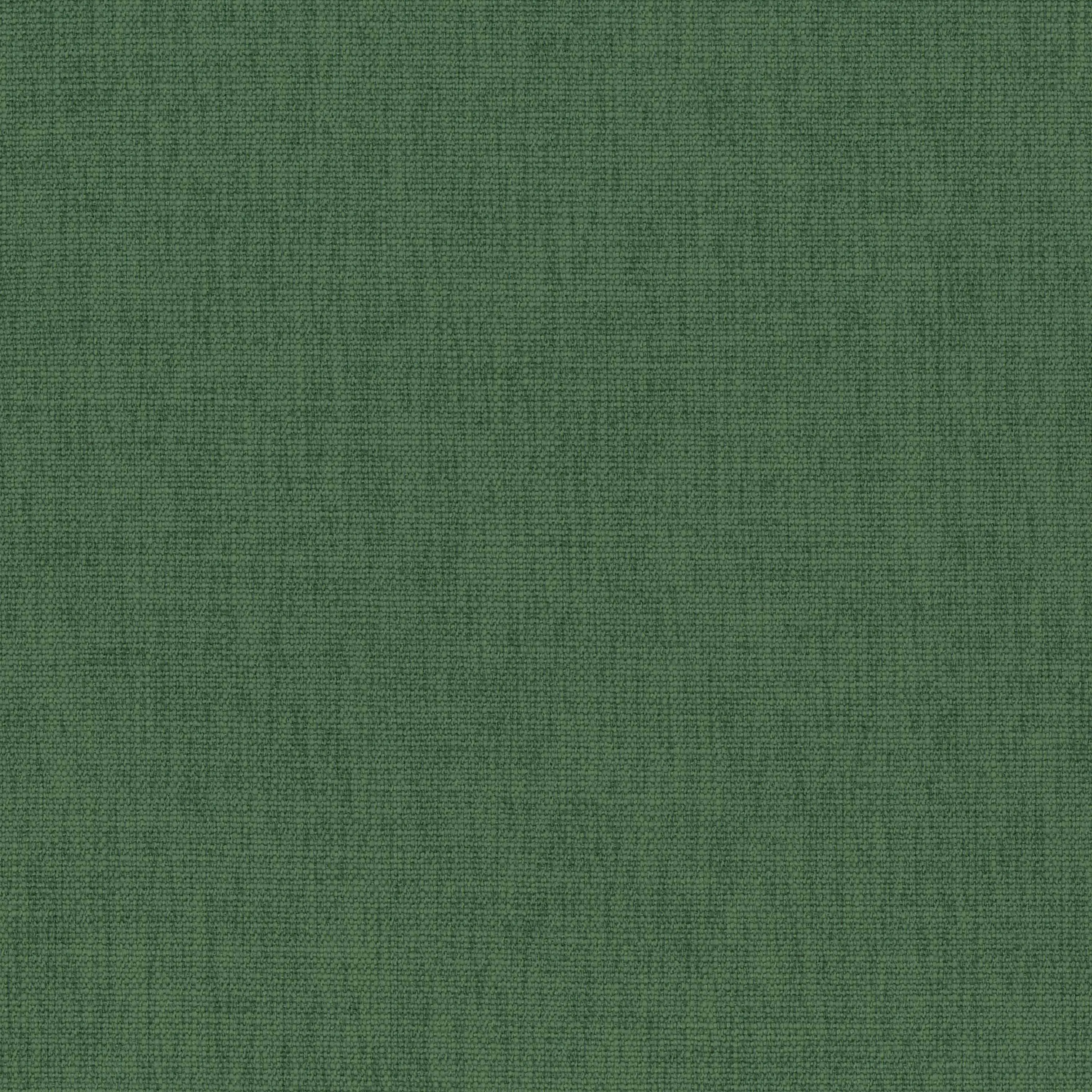 Duck Green 43
