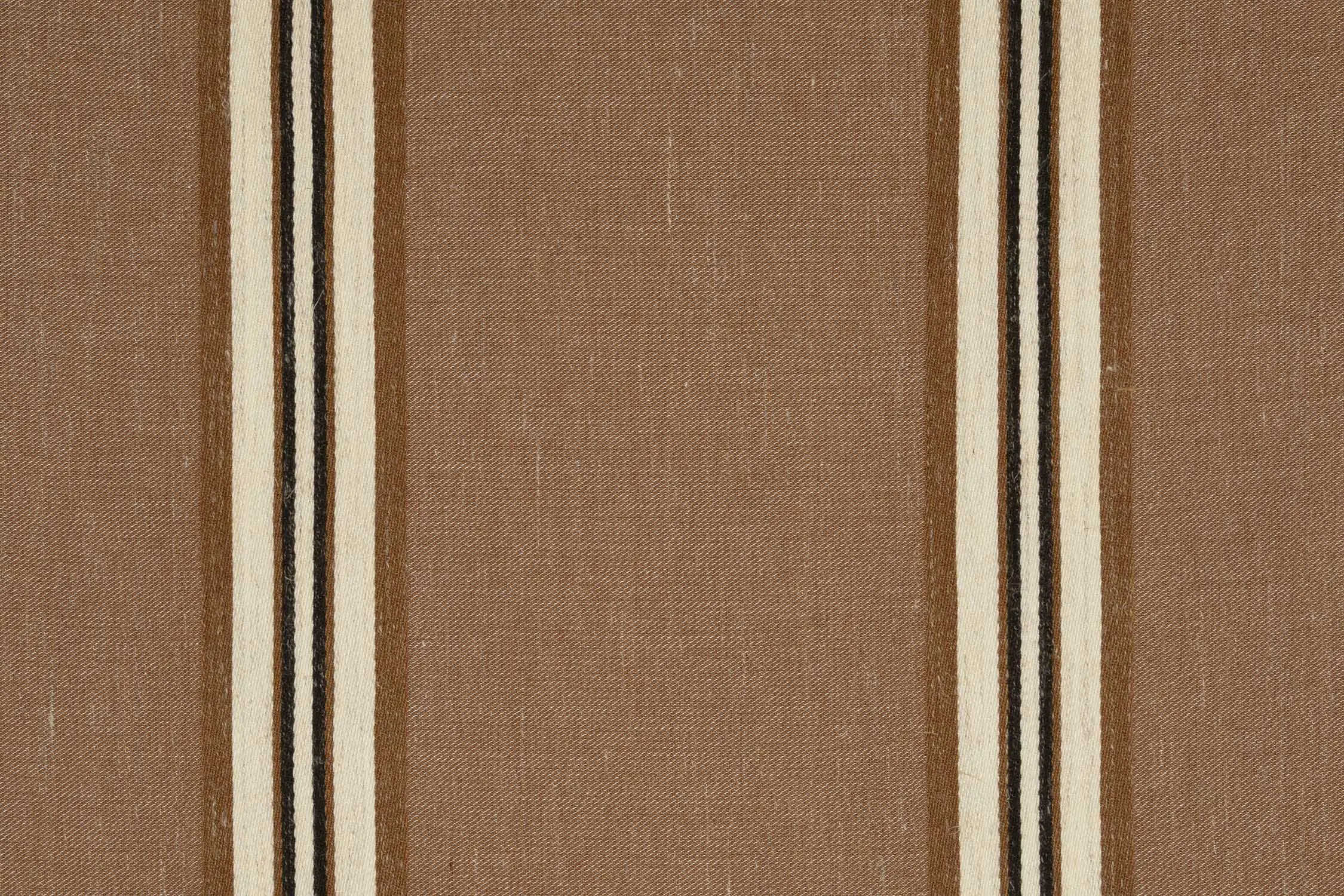 Camel 01