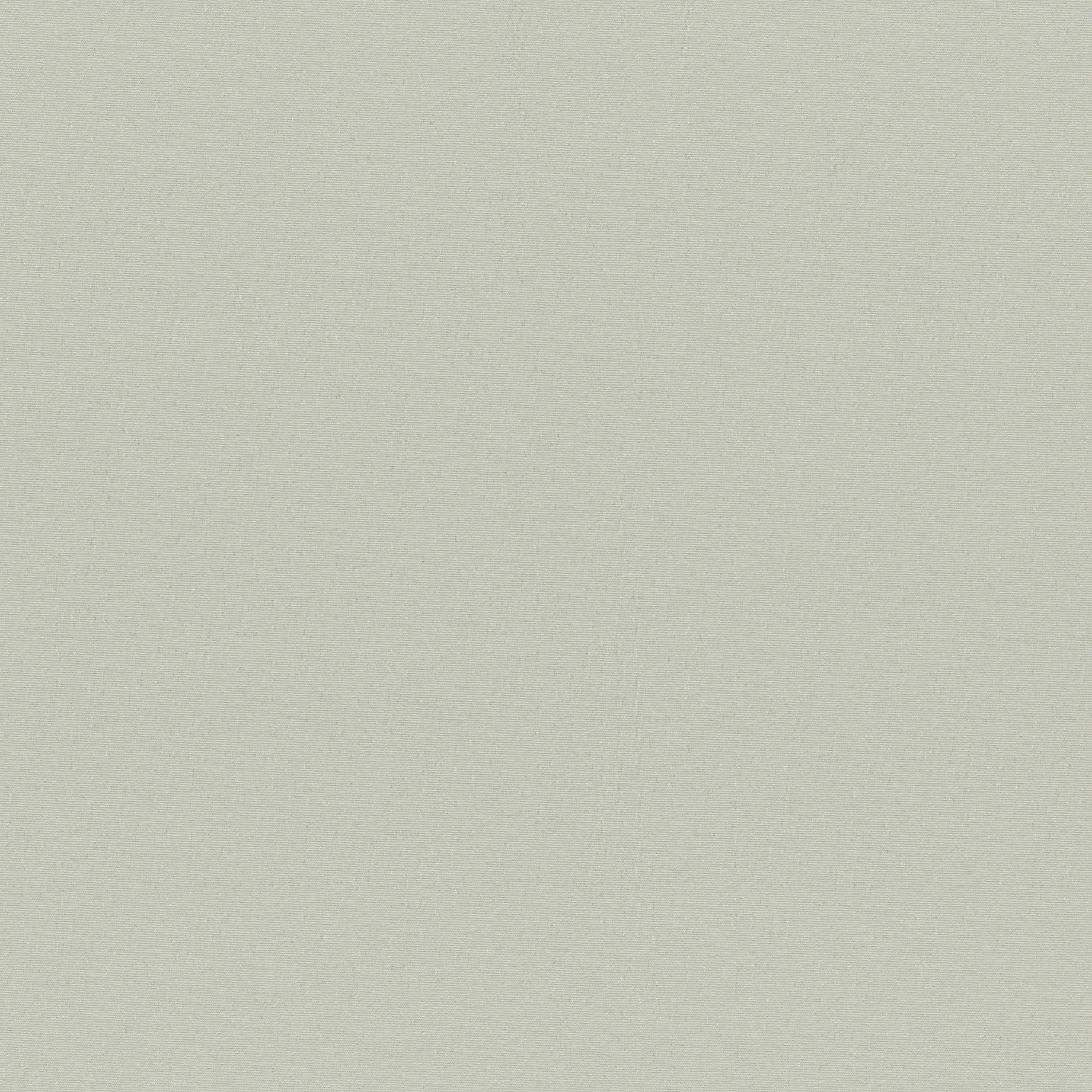 Light Gray 04