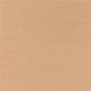 Beige 5