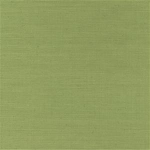 Olive 59