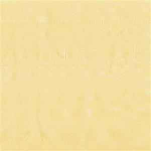 Wheat 1509
