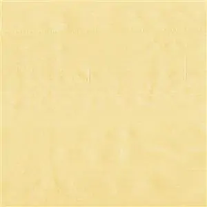 Wheat 1509