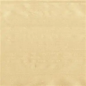 Putty 1520