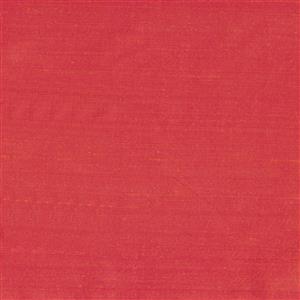 Sorbet 1551