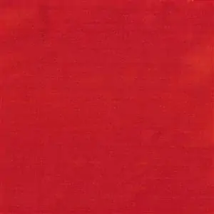 Fire 1556