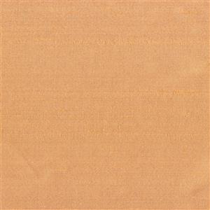 Apricot 1529