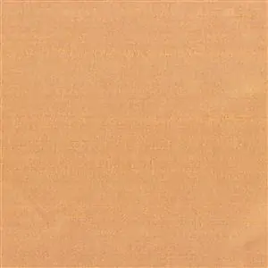 Apricot 1529