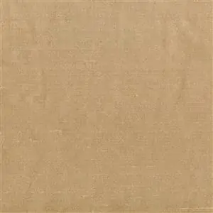Cappuccino 1526