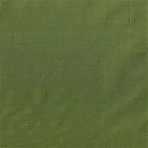 Forest 1559