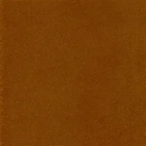 Zdjęcie galerii nr 1