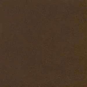 Zdjęcie galerii nr 1