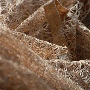 Zdjęcie galerii nr 5