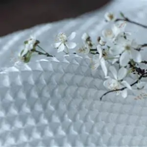 Zdjęcie galerii nr 5