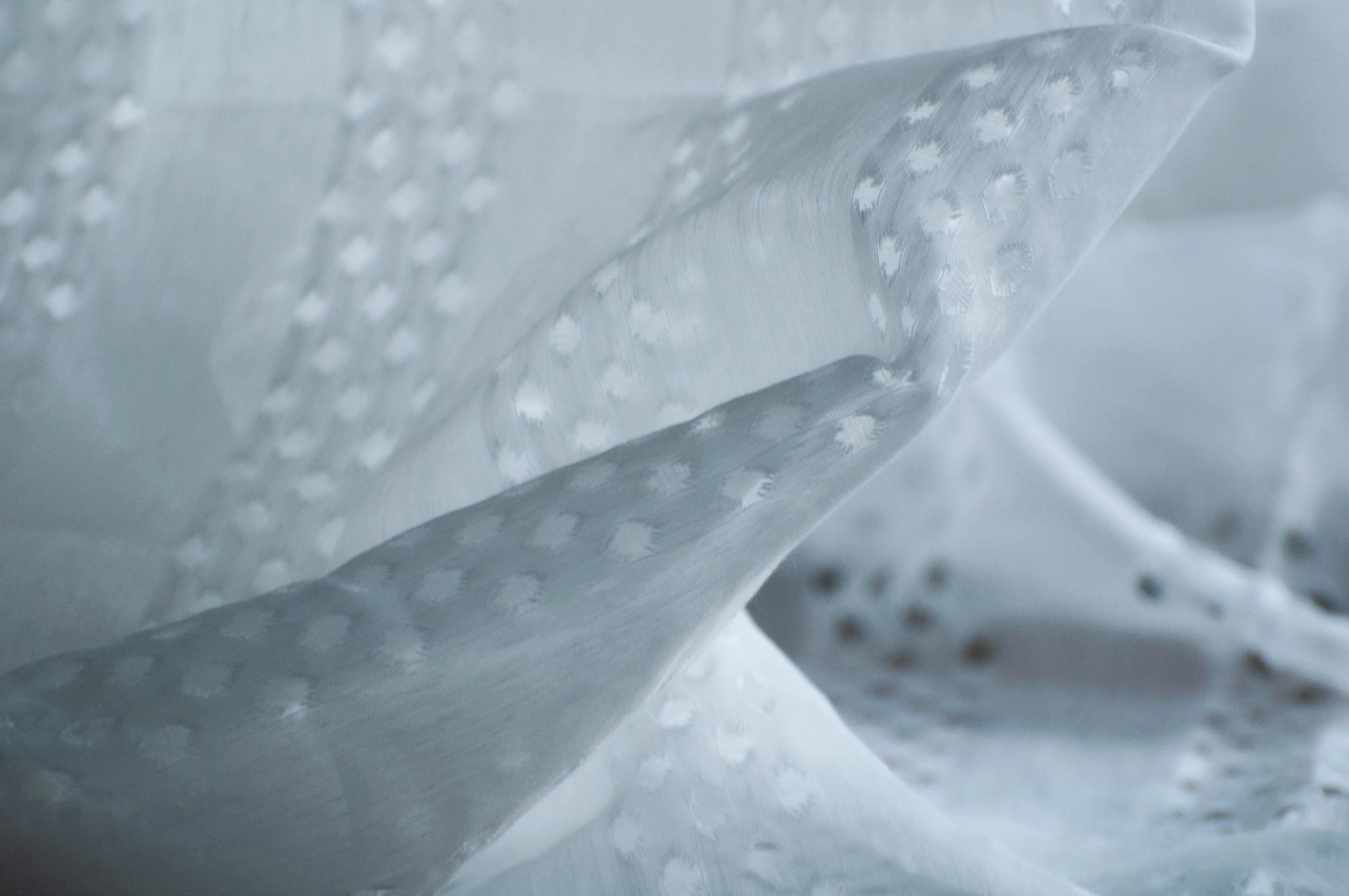 Zdjęcie galerii nr 3