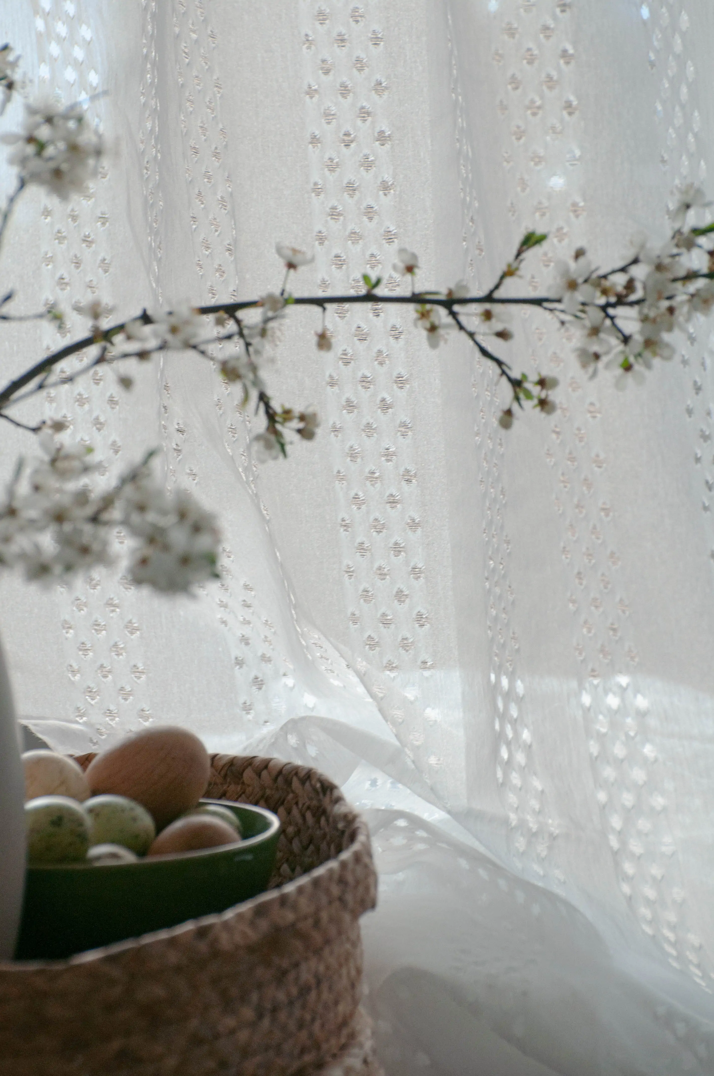 Zdjęcie galerii nr 6