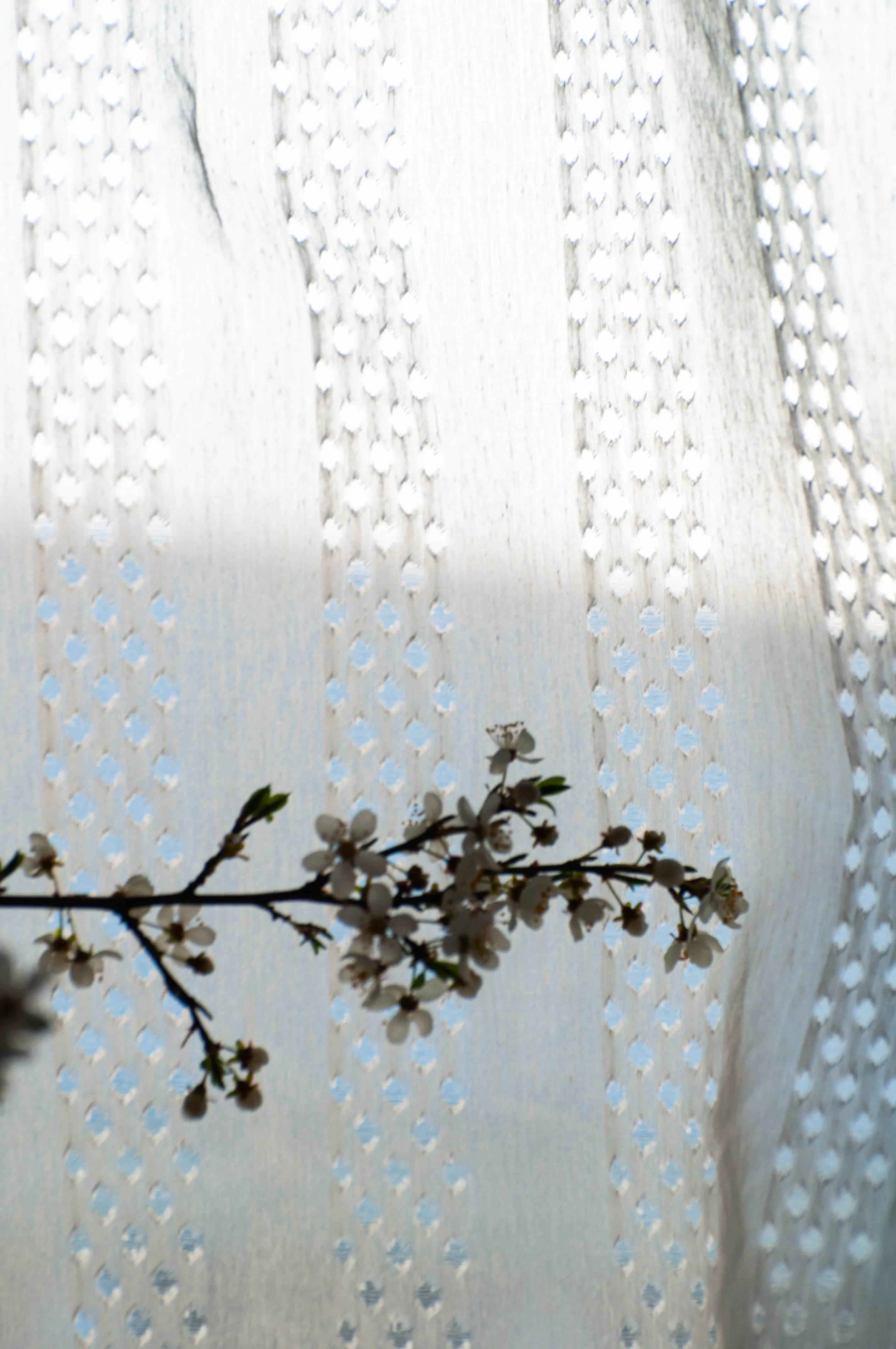 Zdjęcie galerii nr 5