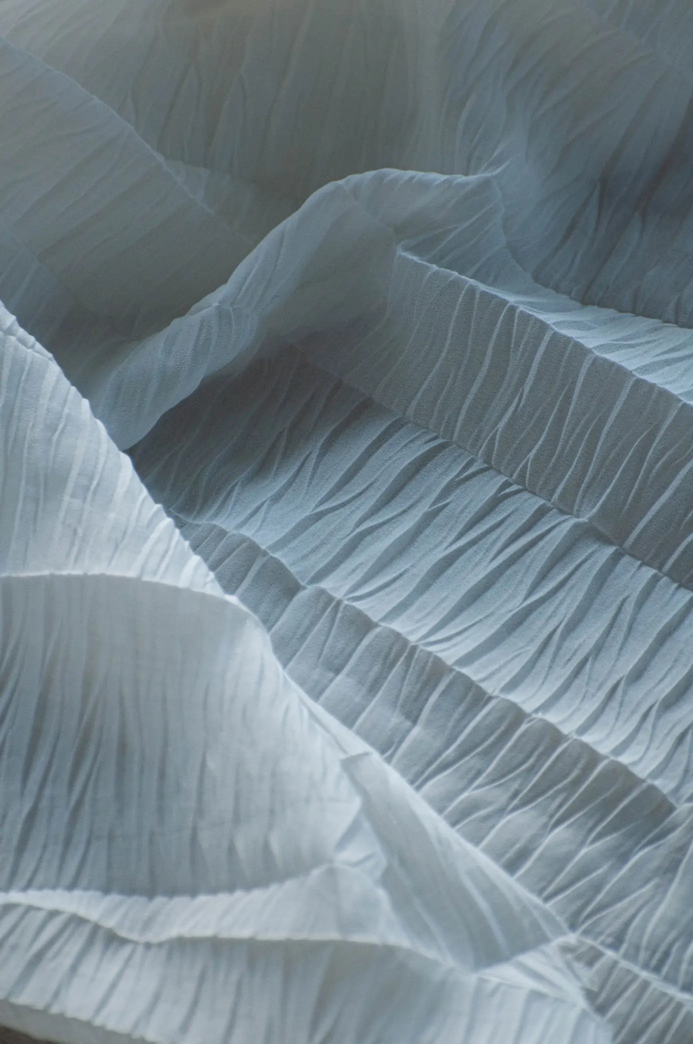 Zdjęcie galerii nr 5