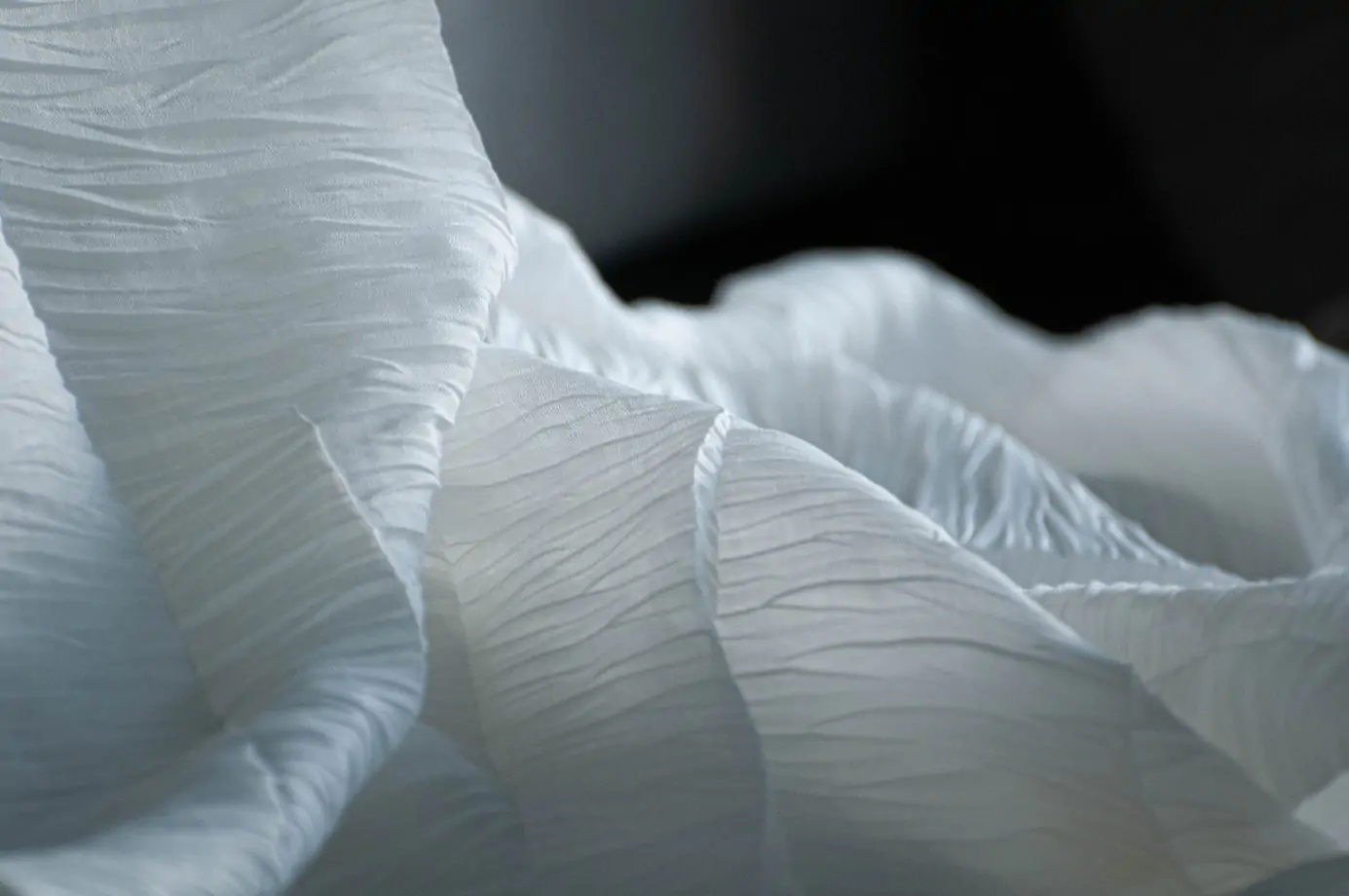 Zdjęcie galerii nr 4