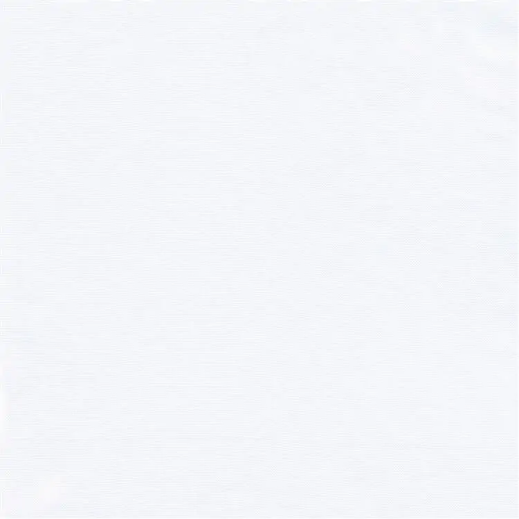 PORCELINA 300 -