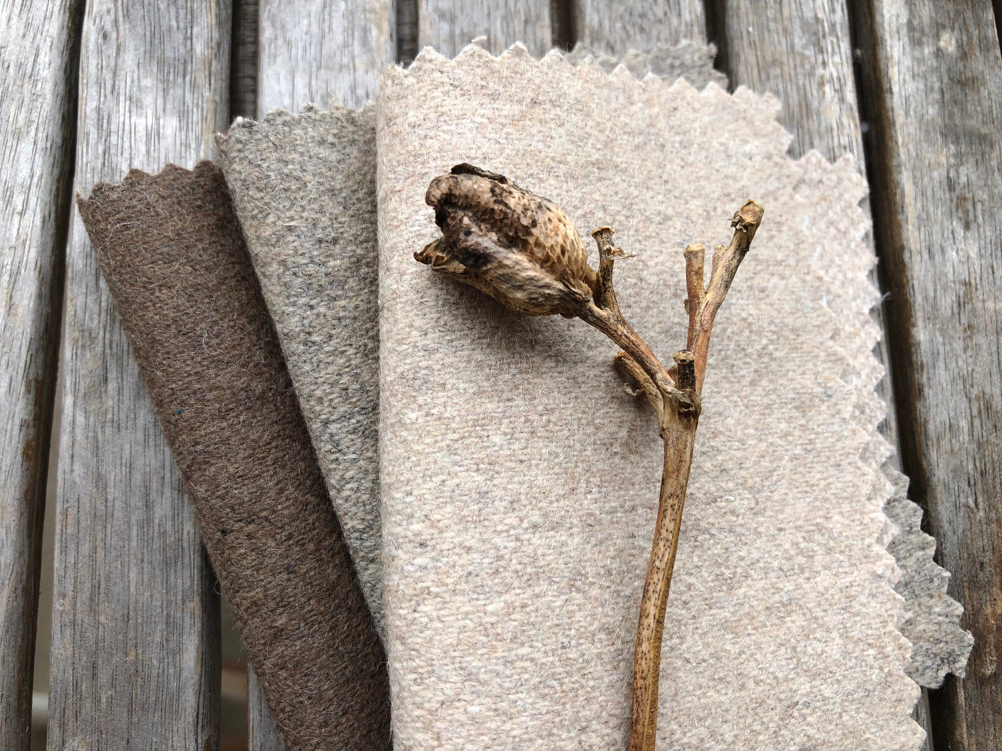 Zdjęcie galerii nr 7