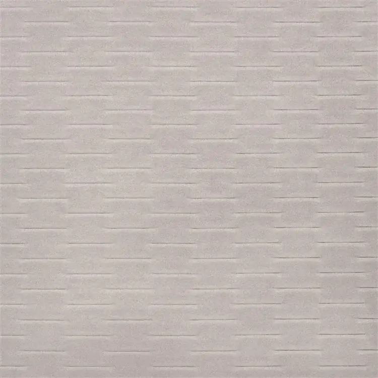 ALCANTARA AMONITE -