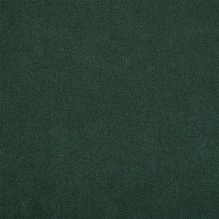 ALCANTARA MASTER -