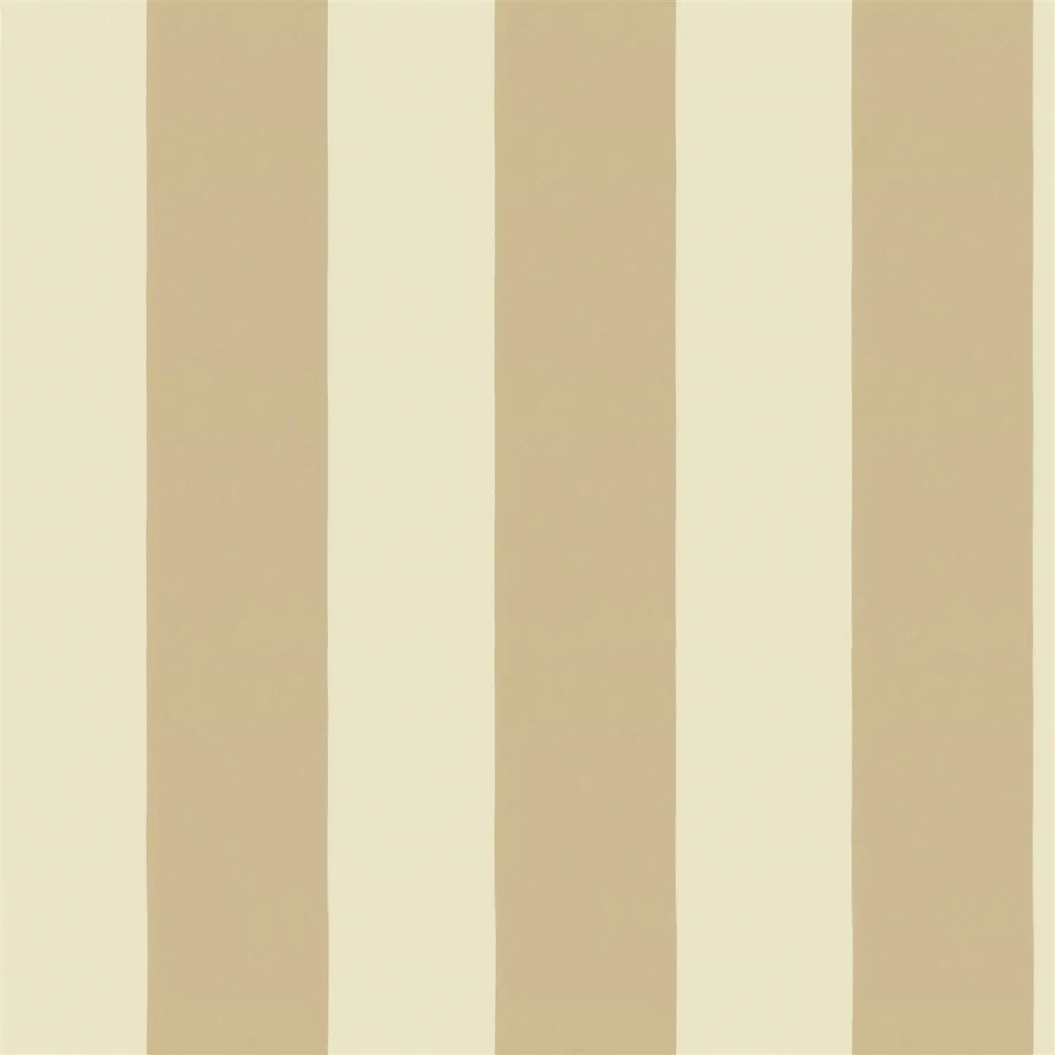 Zdjęcie galerii nr 1