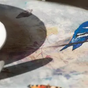 Zdjęcie galerii nr 8