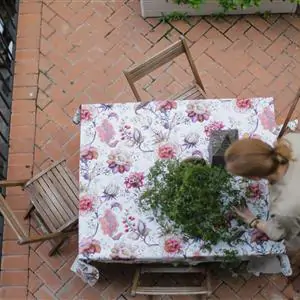 Zdjęcie galerii nr 5