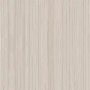 Zdjęcie galerii nr 1