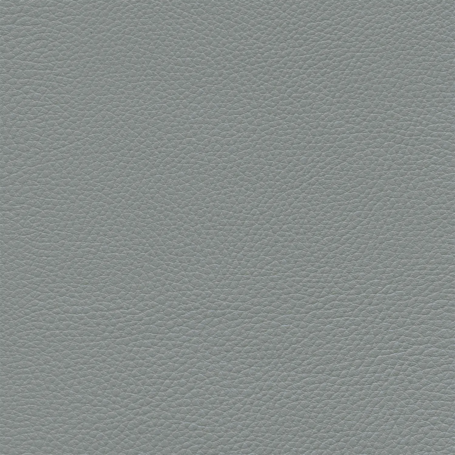 Zdjęcie galerii nr 1